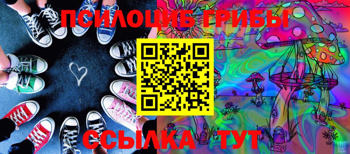 Волгоград  Псилоцибиновые грибы MAGIC MUSHROOMS  Вход с VPN 
